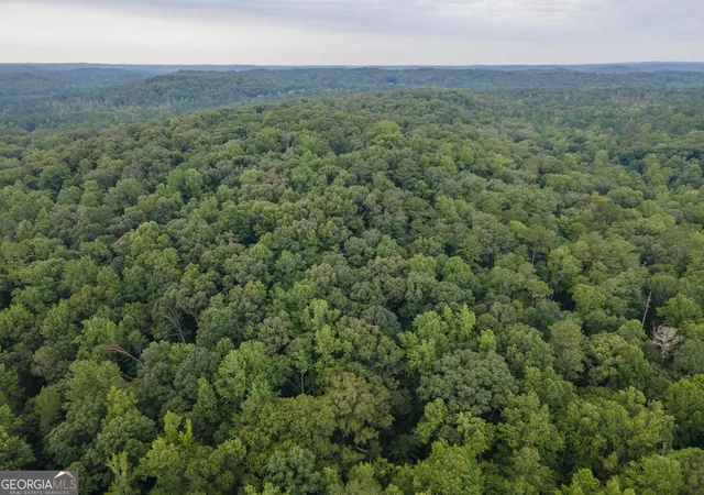 Photo 1 of Land for sale at 00 Brazell Rd, Chattahoochee Hills, GA 30268 | MLS# 10833004 | Listing updated on 2026-09-11
