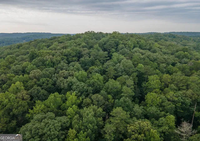 Photo 2 of Land for sale at 00 Brazell Rd, Chattahoochee Hills, GA 30268 | MLS# 10833004 | Listing updated on 2026-09-11