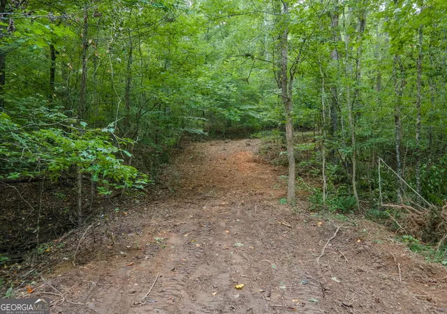 Photo 3 of Land for sale at 00 Brazell Rd, Chattahoochee Hills, GA 30268 | MLS# 10833004 | Listing updated on 2026-09-11