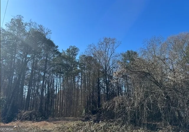 Photo 1 of Land for sale at 0 Jonesboro Rd, Jonesboro, GA 30236 | MLS# 10670108 | Listing updated on 2026-01-26