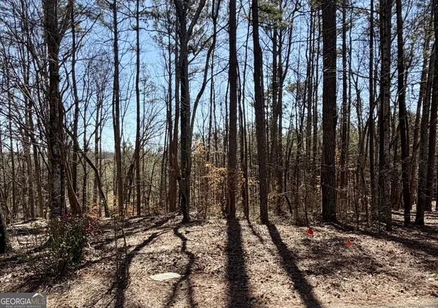 Land for sale at 2487 S Carroll Ct, Villa Rica, GA 30180 | MLS# 10835388