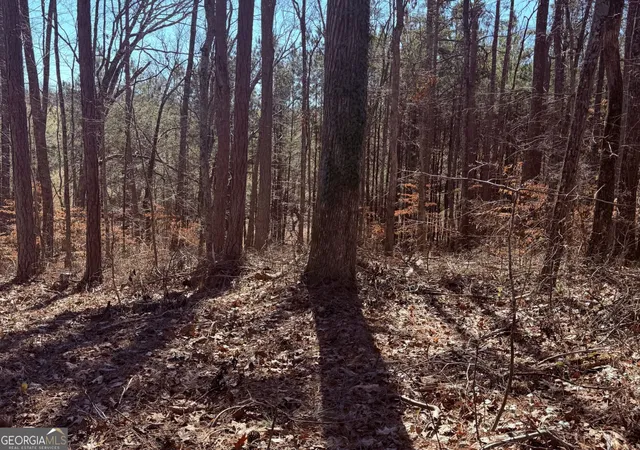 Photo 2 of Land for sale at 2487 S Carroll Ct, Villa Rica, GA 30180 | MLS# 10835388 | Listing updated on 2026-09-11