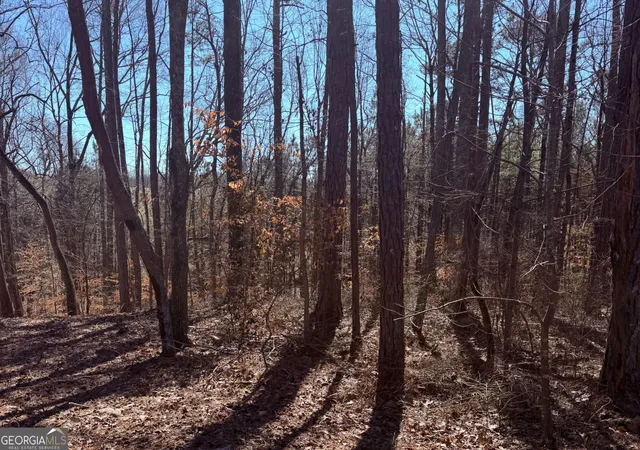 Photo 2 of Land for sale at 2487 S Carroll Ct, Villa Rica, GA 30180 | MLS# 10835388 | Listing updated on 2026-09-11