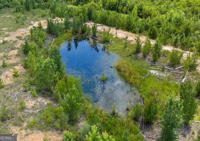 3rd image of Tract 2 Wade Aycock Rd, Surrency, GA 31563 | MLS# 10818877