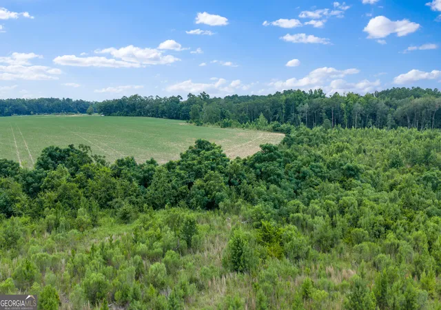 4th image of Tract 2 Wade Aycock Rd, Surrency, GA 31563 | MLS# 10818877