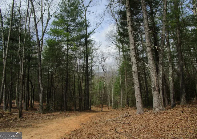 Photo 1 of Land for sale at 0 East New Hope Rd #TRACT B, Ellijay, GA 30536 | MLS# 10820990 | Listing updated on 2026-08-24