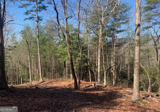 Photo 20 of Land for sale at 0 East New Hope Rd #TRACT B, Ellijay, GA 30536 | MLS# 10820990 | Listing updated on 2026-08-24
