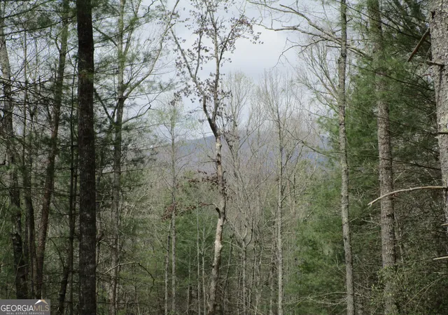 Photo 2 of Land for sale at 0 East New Hope Rd #TRACT B, Ellijay, GA 30536 | MLS# 10820990 | Listing updated on 2026-08-24