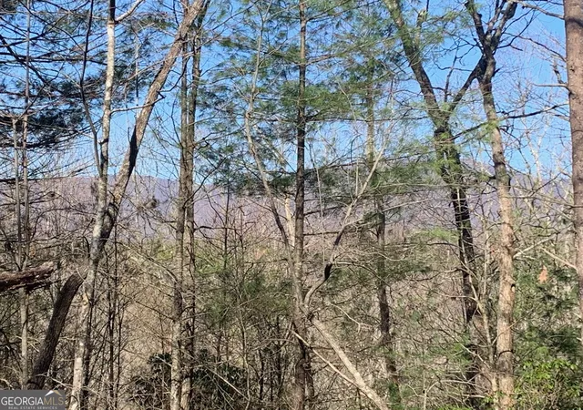 Photo 3 of Land for sale at 0 East New Hope Rd #TRACT B, Ellijay, GA 30536 | MLS# 10820990 | Listing updated on 2026-08-24