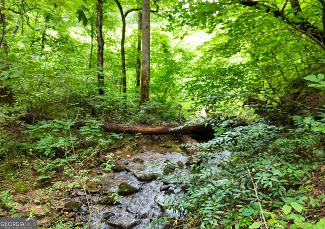 1st image of 0 Hwy 76 East, Clayton, GA 30525 | MLS# 10579447