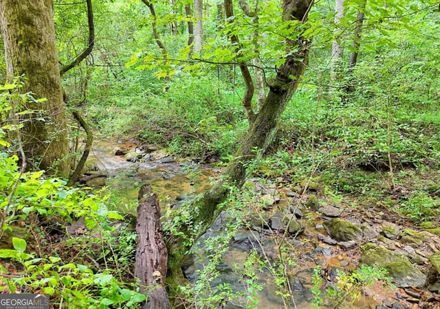 2nd image of 0 Hwy 76 East, Clayton, GA 30525 | MLS# 10579447