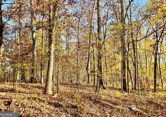 Land for sale at 0 Fullerton Phillips Rd, Hillsboro, GA 31038 | MLS# 10721832
