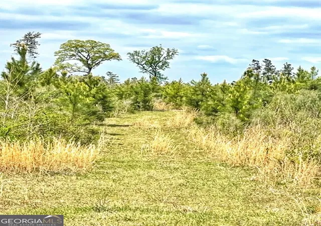 Photo 3 of Land for sale at 0 Fullerton Phillips Rd, Hillsboro, GA 31038 | MLS# 10721832 | Listing updated on 2026-05-07