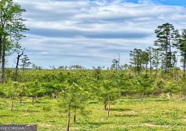 Photo 3 of House for sale at 0 Fullerton Phillips Rd, Hillsboro, GA 31038 | MLS# 10721832 | Listing updated on 2026-05-07