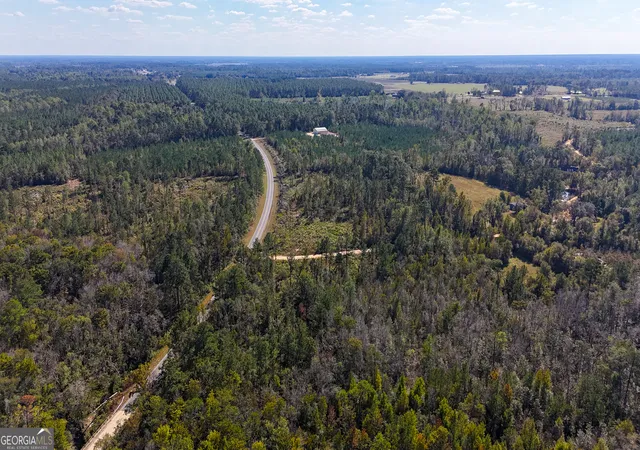 Homes for sale in Alma, GA | 0 Stewart Cemetery Rd, Alma, GA 31510 | MLS# 10650398