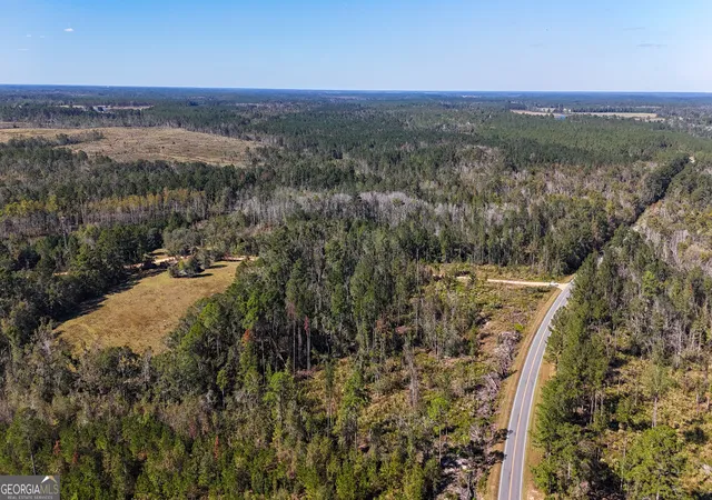 Homes for sale in Alma, GA | 0 Stewart Cemetery Rd, Alma, GA 31510 | MLS# 10650398
