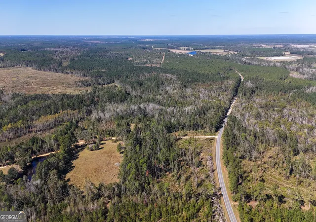 Homes for sale in Alma, GA | 0 Stewart Cemetery Rd, Alma, GA 31510 | MLS# 10650398