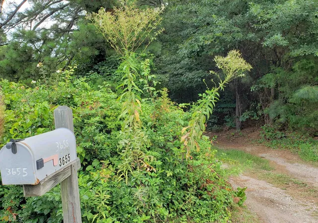 1st image of 3655 Roosevelt Hwy, Atlanta, GA 30349 | MLS# 10760891