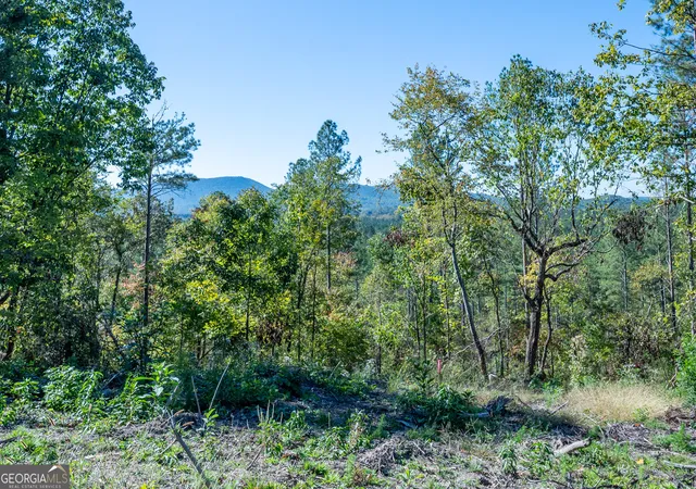 Photo 2 of Land for sale at 3875 Highway 140 Ne, Rydal, GA 30171 | MLS# 10632117 | Listing updated on 2025-11-10