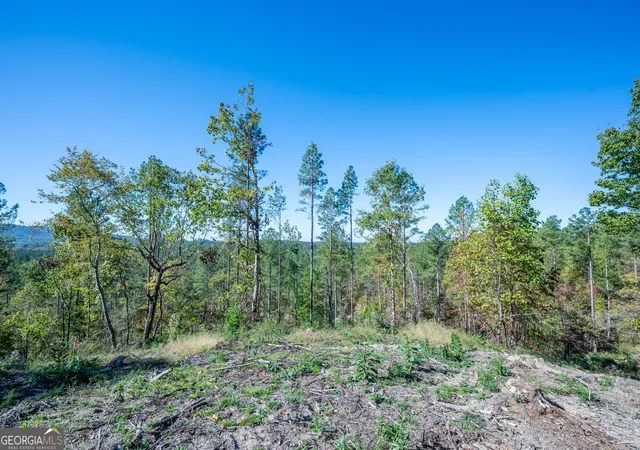 Photo 3 of Land for sale at 3875 Highway 140 Ne, Rydal, GA 30171 | MLS# 10632117 | Listing updated on 2025-11-10