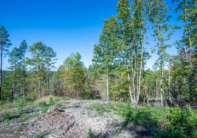 Photo 3 of Land for sale at 3875 Highway 140 NE, Rydal, GA 30171 | MLS# 10632117 | Listing updated on 2025-11-10