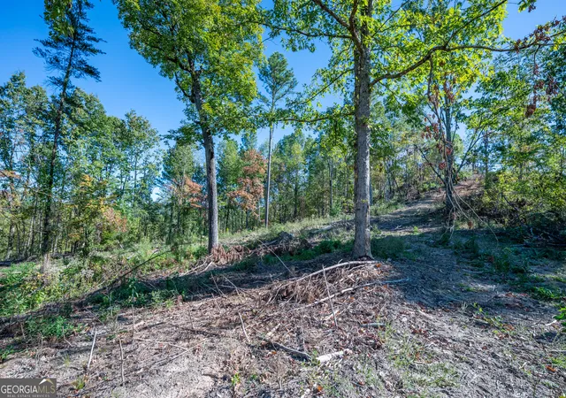 Photo 4 of Land for sale at 3875 Highway 140 NE, Rydal, GA 30171 | MLS# 10632117 | Listing updated on 2025-11-10