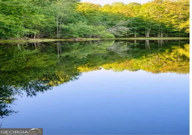 Photo 1 of Land for sale at 0 Malone Rd, Fayetteville, GA 30215 | MLS# 10800367 | Listing updated on 2026-08-22