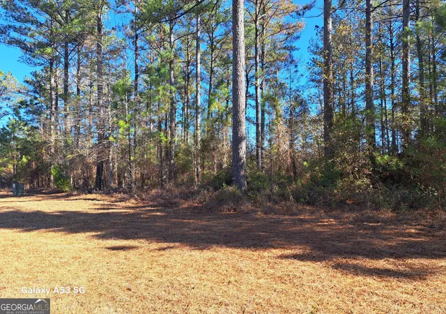 Homes for sale in Kingsland, GA | 0 Shoreline Dr, Kingsland, GA 31548 | MLS# 10687565