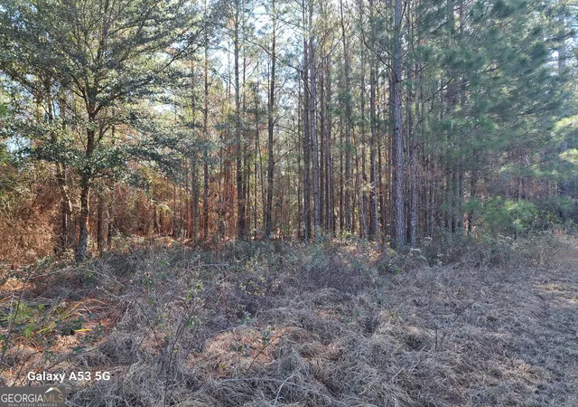 Homes for sale in Kingsland, GA | 0 Shoreline Dr, Kingsland, GA 31548 | MLS# 10687565