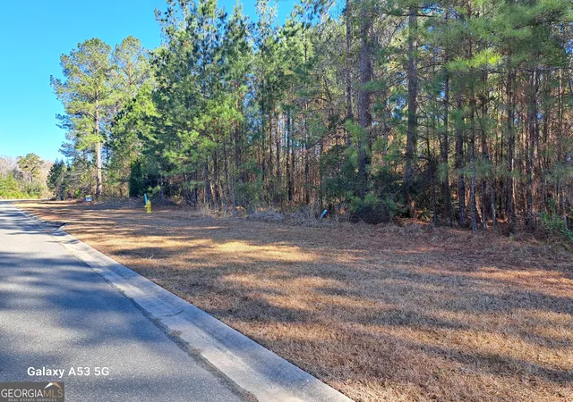 4th image of 0 Shoreline Dr, Kingsland, GA 31548 | MLS# 10687565