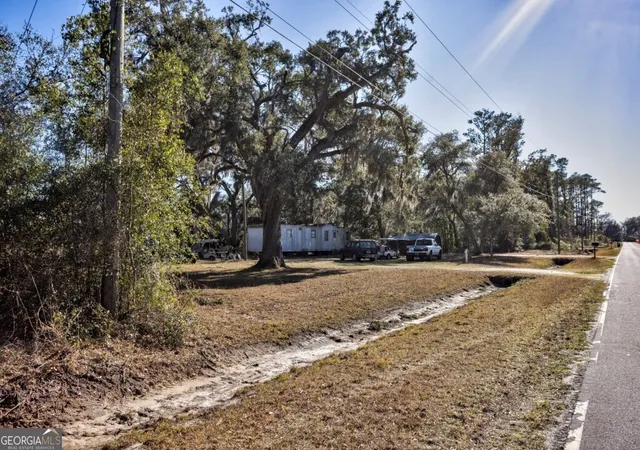 13th image of 0 Cattle Hammock Rd, Midway, GA 31320 | MLS# 10702277