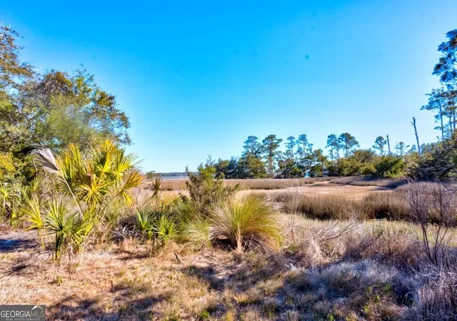 2nd image of 0 Cattle Hammock Rd, Midway, GA 31320 | MLS# 10702277