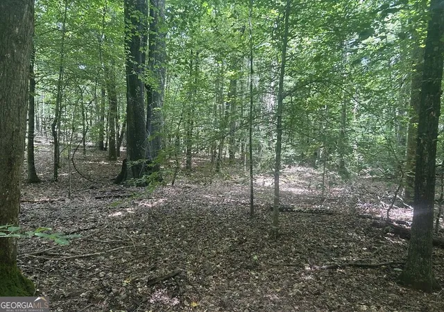Photo 1 of Sale Pending at 111 Riversong (tract 26) #(TRACT 26), Carrollton, GA 30117 | MLS# 10702423 | Listing updated on 2026-10-08