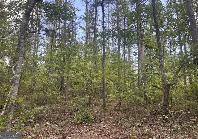 Photo 3 of Sale Pending at 111 Riversong (tract 26) #(TRACT 26), Carrollton, GA 30117 | MLS# 10702423 | Listing updated on 2026-10-08