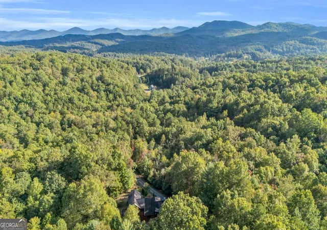 Homes for sale in Morganton, GA | 691 Mitchell Branch Rd, Morganton, GA 30560 | MLS# 10615365