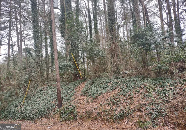 3rd image of 0 Lakeshore Dr, Jonesboro, GA 30236 | MLS# 10456397