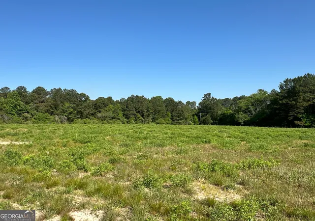 4th image of Tract 1 120 Popham Rd, Taylorsville, GA 30178 | MLS# 10790052
