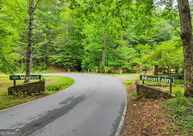 82nd image of 549 Sleepy Hollow Rd, Ellijay, GA 30536 | MLS# 10779911