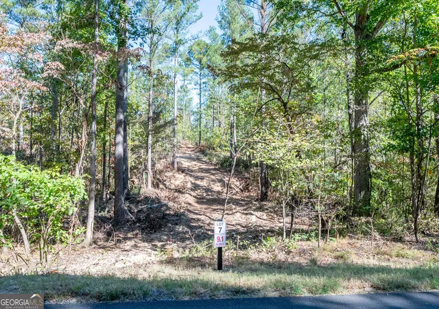 Photo 2 of Land for sale at 3809 Highway 140 Ne, Rydal, GA 30171 | MLS# 10632085 | Listing updated on 2025-11-10