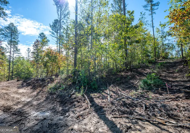 Photo 3 of Land for sale at 3809 Highway 140 Ne, Rydal, GA 30171 | MLS# 10632085 | Listing updated on 2025-11-10
