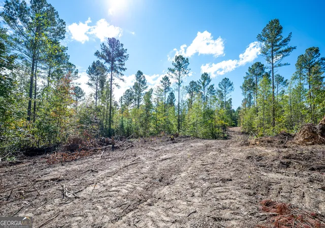 Photo 3 of Land for sale at 3809 Highway 140 NE, Rydal, GA 30171 | MLS# 10632085 | Listing updated on 2025-11-10