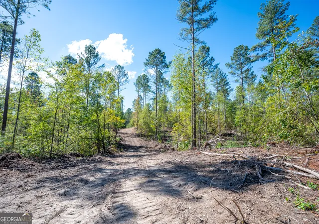 Photo 4 of Land for sale at 3809 Highway 140 NE, Rydal, GA 30171 | MLS# 10632085 | Listing updated on 2025-11-10