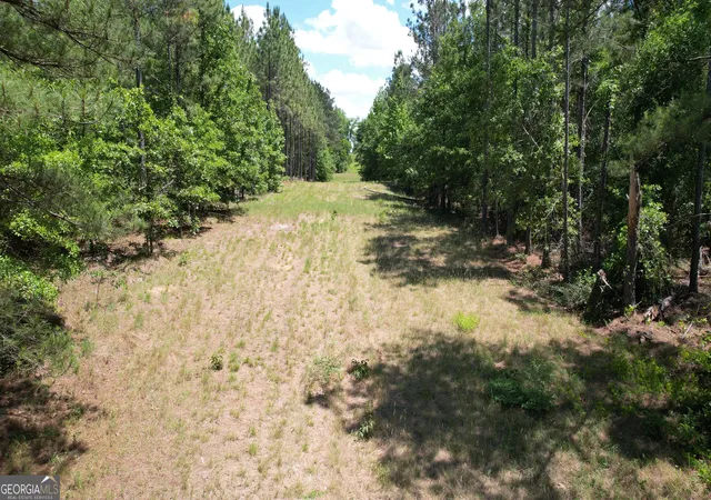 3rd image of Rose Lot Dublin Eastman Rd, Dexter, GA 31019 | MLS# 10802852
