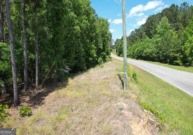 4th image of Rose Lot Dublin Eastman Rd, Dexter, GA 31019 | MLS# 10802852