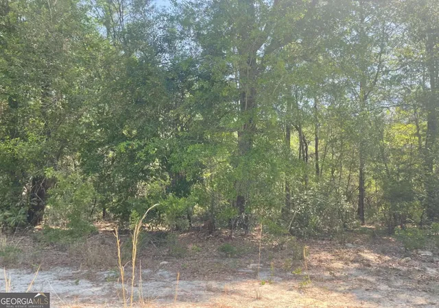 Homes for sale in Reidsville, GA | Lot 7 Riverbank Rd, Reidsville, GA 30453 | MLS# 10739866