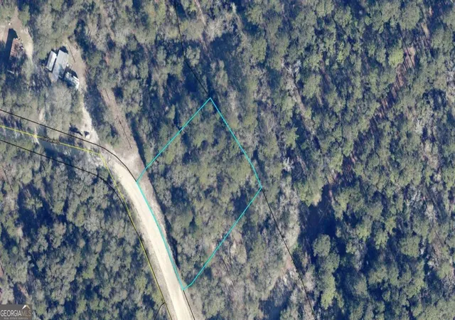 Homes for sale in Reidsville, GA | Lot 7 Riverbank Rd, Reidsville, GA 30453 | MLS# 10739866