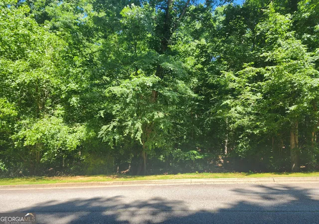 2nd image of 1034 City Market St, Hoschton, GA 30548 | MLS# 10816902