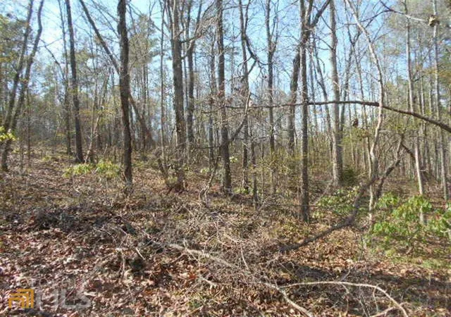 Photo 1 of Land for sale at 0 Nebo Rd, Dallas, GA 30141 | MLS# 10013549 | Listing updated on 2026-06-04