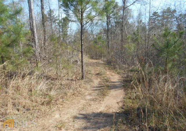 Photo 3 of Land for sale at 0 Nebo Rd, Dallas, GA 30141 | MLS# 10013549 | Listing updated on 2026-06-04
