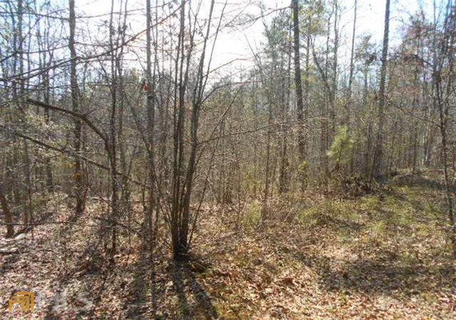 Photo 3 of Land for sale at 0 Nebo Rd, Dallas, GA 30141 | MLS# 10013549 | Listing updated on 2026-06-04